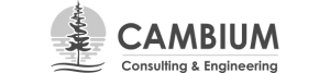 Cambium Consulting and Engineering logo