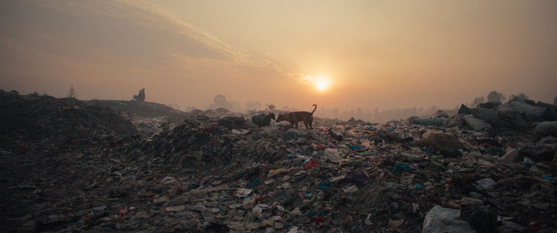 A dog stands atop a vast landscape of debris under a hazy sky, with the sun low on the horizon casting a warm glow over the scene. The landfill is littered with varied waste, and the dog's silhouette is outlined against the bright backdrop of the sun. The atmosphere appears calm yet somber, with the desolation of the waste and the solitary figure of the dog creating a poignant contrast.