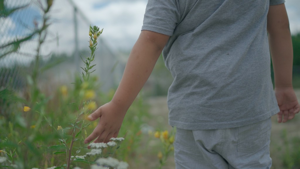 Still image from the film I See, a child walks away from the camera hand outstretched to feel the tall grass beside them. Click to follow a link to the film. 