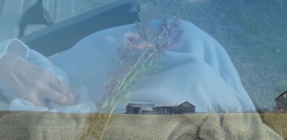 A composite image with a double exposure effect. In the foreground, a translucent image of a human hand holding a bunch of wildflowers with purple blooms is superimposed. Behind this, a rural landscape unfolds, featuring a field of golden-hued grass leading to rustic wooden buildings that appear to be barns or farmhouses. The background scene is in sharp focus, with clear blue skies above and the structures casting shadows on the grass, indicating sunlight coming from the left. The overall effect is ethereal and artistic, with the hand and flowers adding a touch of delicate human presence to the rugged countryside setting.